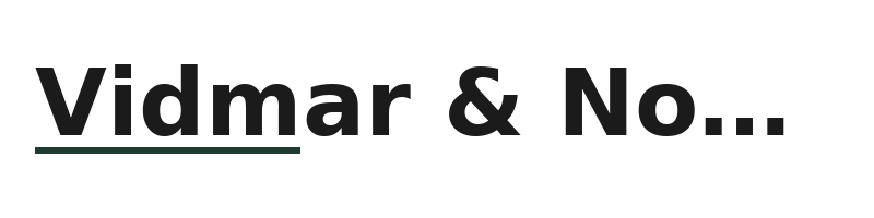 Vidmar & Novak logo